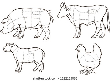 Set of meat cutting scheme: beef, pork, chiken, lamb vector 