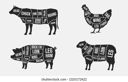 Set von Fleischdiagrammen. Fleischteilstücke. Kuh, Huhn, Schwein und Schwein einzeln auf weißem Hintergrund. Vintage-Poster für Metzgerei. Vektorgrafik
