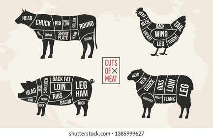 Set of Meat diagrams. Cuts of meat. Cow, Chicken, Pig and Sheep silhouette. Vintage Posters for groceries, butcher shop, meat store. Vector illustration