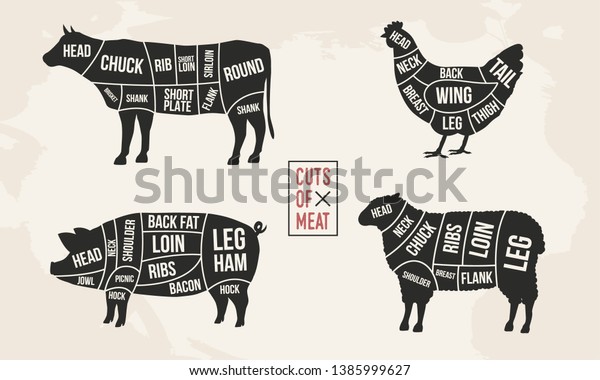 Set of Meat diagrams. Cuts of\
meat. Cow, Chicken, Pig and Sheep silhouette. Vintage Posters for\
groceries, butcher shop, meat store. Vector\
illustration