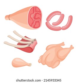 Set of meat different species on white background. Vector illustration of delicious beef leg, ribs, chicken, sausages, chicken leg in cartoon style.