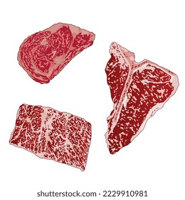 Set Fleisch frische Steaks.Vektorgrafik.