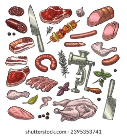 Set meat products and kitchen equipment. Brisket, sausage, meat grinder, steak, chicken leg, knife, ribs, basil, thyme. Vintage color vector engraving illustration. Isolated on white background.