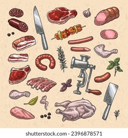 Set meat products and kitchen equipment. Brisket, sausage, meat grinder, steak, chicken leg, knife, ribs, basil, thyme. Vintage color vector engraving illustration. Isolated on white background.