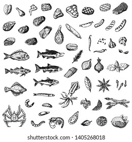 Set of meat, sausages and seafood. Vector cartoon illustrations. Isolated objects on a white background. Hand-drawn style.