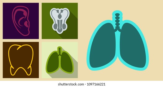 Set of medecine icons in flat style ears, tooth, Male reproductive system, lung