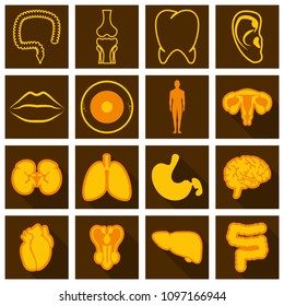 Set of medecine icons in flat style with shadow. Medecine organs, science