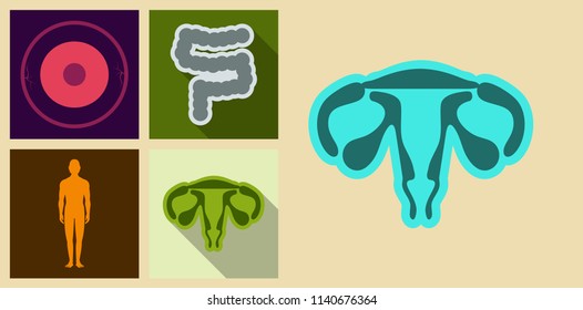 Set Of Medecine Icons In Flat Style With Shadow. Medecine Organs Female Reproductive System, Gastrointestinal Tract, Neuron, Human Body.