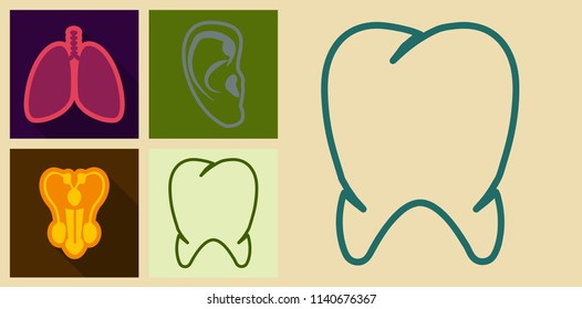Set of medecine icons in flat style ears, tooth, Male reproductive system, lung