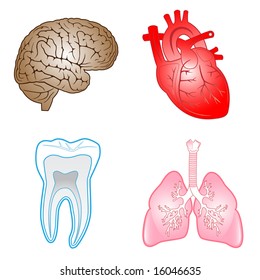 Set of medical icons. Brain, heart, tooth, lungs. Vector illustration.