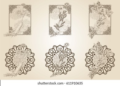 Set of medicina herbs with patterned frames: ginseng, chamomile, celandine. Vector illustration in engraving style, in sepia.