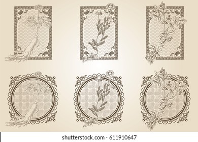 Set of medicina herbs with patterned frames: ginseng, chamomile, celandine. Vector illustration in engraving style, in sepia.