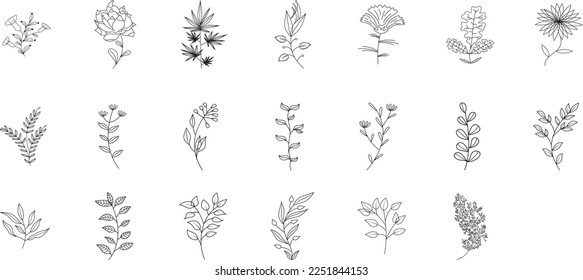 a set of medicinal edible plants, leaf flowers and berries in the sketch style. collection of isolated black contour, daisies, sunflowers, cherry blossoms, peony, clover . Vector illustration