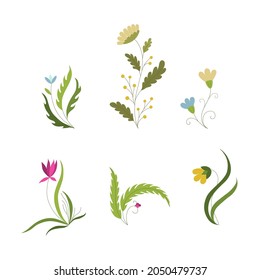 Conjunto de hierbas medicinales. El floreciente campo ruso de flores de verano. Erigeron canadensis, Lychnis flos-cuculi, Linnaea borealis. Diseño vectorial de material Flora para cosméticos naturales, farmacia, libros, tarjeta.