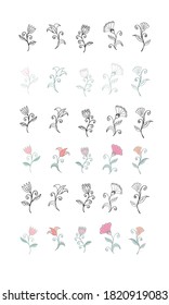 Set of medicinal herbs and leaves on a white background. Stylish wallpaper with plants for the manufacture of medicines on a white background. Textiles with summer herbs.