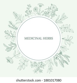 A set of medicinal herbs and plants. Collection of hand drawn flowers and herbs. Botanical plant illustration. Vintage medicinal herbs sketch. 