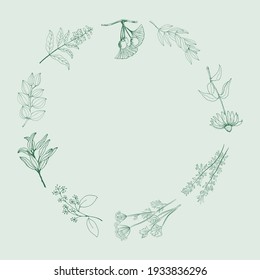 A set of medicinal herbs and plants. Collection of hand drawn flowers and herbs. Botanical plant illustration. Vintage medicinal herbs sketch. 