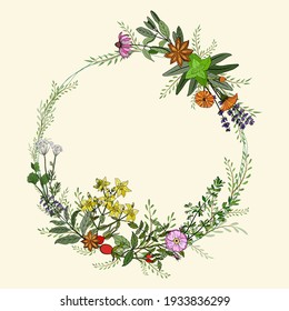 Un ensemble d'herbes médicinales et de plantes. Collection de fleurs et d'herbes dessinées à la main. Illustration végétale. Dessin d'herbes médicinales vintage. 