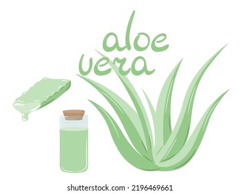 803 Aloe vera drop logo Images, Stock Photos & Vectors | Shutterstock