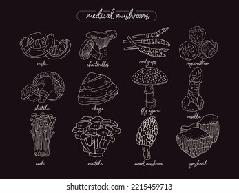 Set of medicinal wild mushrooms hand-drawn in the style of engraving isolated on black. Collection of plants for folk alternative treatment in medicine in the style of the line. Vector illustration.