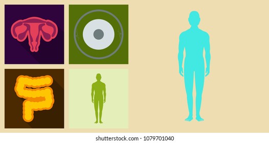 Set Of Medicine Icons In Flat Style With Shadow. Medicine Organs Female Reproductive System, Gastrointestinal Tract, Neuron, Human Body.