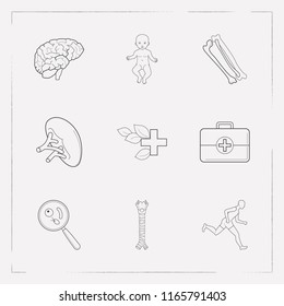 Set of medicine icons line style symbols with baby, herbal medicine, spleen and other icons for your web mobile app logo design.
