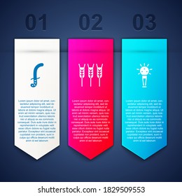 Establezca la espada medieval, el trigo y el macho. Plantilla de infografía de negocios. Vector.