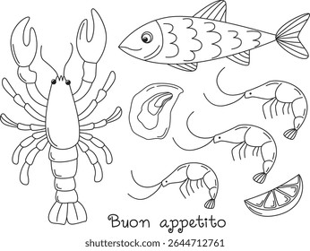 Set of mediterranean sea food doodle drawing. Linear illustration with shrimps, oyster, lobster, fish and lemon