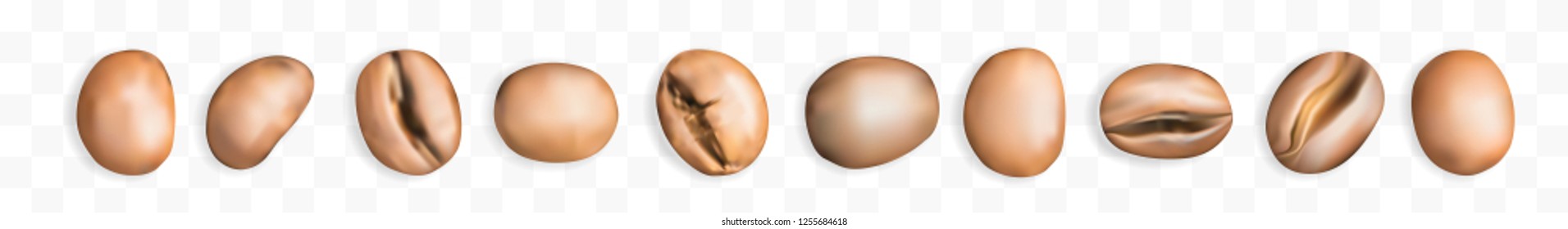Set of Medium Roasted Arabica and Robusta Coffee Beans Isolated on Transparent Background. Realistic 3d Vector Illustration of Coffe Grains