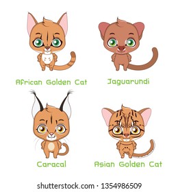 Set of medium sized wild cat species