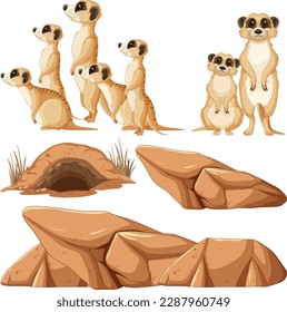 Set of meerkat cartoon character illustration