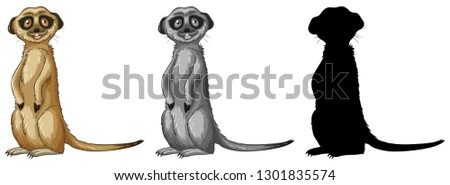 Similar – Image, Stock Photo Meerkat (Suricata suricatta), also known as the suricate.