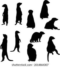 Set of Meerkat Silhouette vector Illustration Eps10