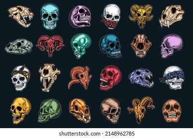 Set Mega Collection Bundle Dark Art Skull Head and Bones horror vintage Collection for tattoo and t-shirt hand drawn