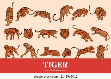 Set Mega Collection Bundle Tiger beast face wild poses isolated cartoon clipart illustration