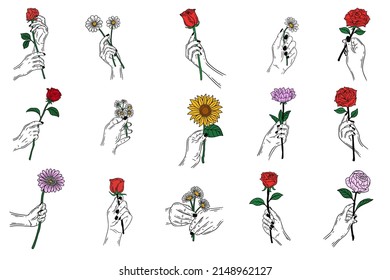 Set Mega Collection Bundle Women Hand Holding Rose Flower Gesture Flat line Art illustration