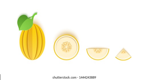 Set of melon berry sliced paper citrus fruit sliced whole, triangular and round slices, design for any purpose. Summer citrus, juicy food. Vector 3d map illustration. Tropical paper layers of fruit.