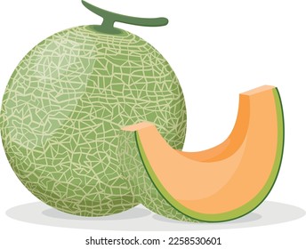 Set of Melon or cantaloupe cartoon character with different expressions isolated on white background