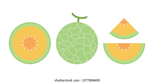 Set of melon and sliced Melons (whole, half, slice) isolated on white background with cartoon style.