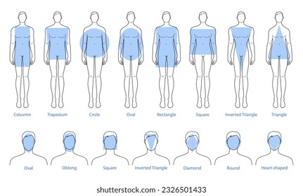 Set of Men face and body shape types - oblong, square, inverted triangle, diamond, round, heart and rectangle shape. Male Vector illustration 9 head size Gentlemen figure. Vector outline boy fashion