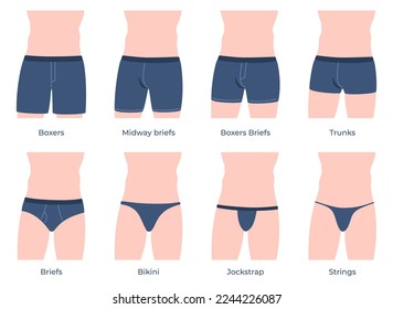 A set of men underpants and swimming trunks of various models on a man body. Clothes for the beach, underwear. Vector illustration svg