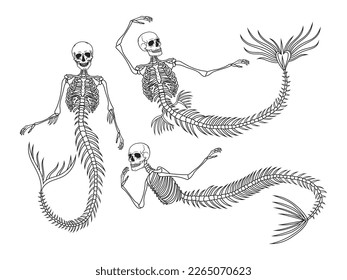 Set of mermaid skeleton. Collection of human skeletons with fairy mermaid tails. Mystical creature. Vector illustration for halloween poscard. T-shirt design.