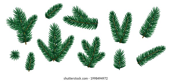 Set of Merry Christmas fir tree branches. Vector illustration. Winter holiday icons, evergreen pine parts. Xmas and New Year green conifer plant elements isolated on white background