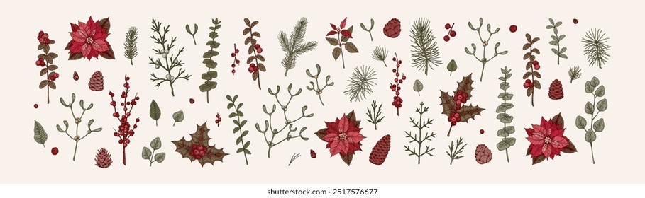 Set of Merry Christmas snd Happy New Year floral decoration. Christmas tree branches, mistletoe, poinsettia flower, eucalyptus in sketch style. Design for greeting cards, certificates, invitation