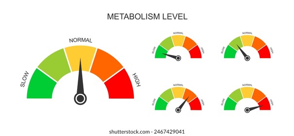 Conjunto de tableros de instrumentos de metabolismo con flechas. Diferentes niveles metabólicos, de lentos a altos. Gráficos de la tasa de conversión de alimentos y bebidas en energía. Ilustración plana de Vector.