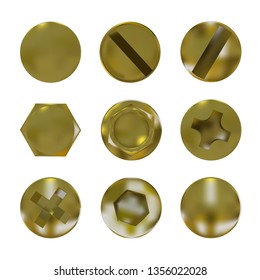 A set of metal golden screws and bolt caps vector