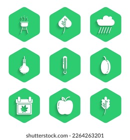 Set Meteorology thermometer, Apple, Leaf leaves, Plum fruit, Calendar with autumn, Onion, Cloud rain and Barbecue grill icon. Vector