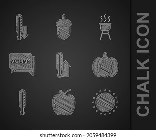 Set Meteorology Thermometer, Apple, Sun, Pumpkin, Speech Bubble With Text Autumn, Barbecue Grill And  Icon. Vector