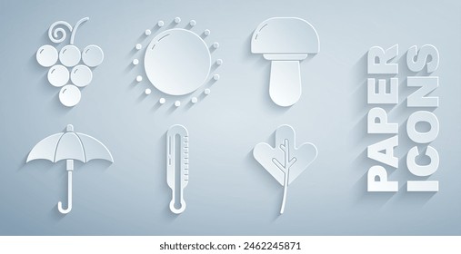 Set Meteorology thermometer, Mushroom, Umbrella, Leaf leaves, Sun and Grape fruit icon. Vector