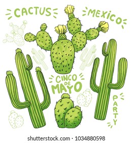 Set of mexican cactus with spines or thorns and flowers as banner for cinco de mayo holiday or celebration. Edible or eatable, esculent cacti like saguaro, indian fig or mammillaria cactus.Latin theme